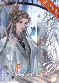 穿越成痴傻王妃的