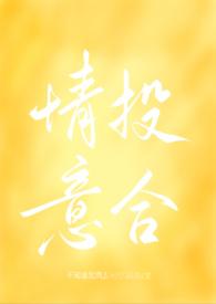 网络情投意合免费