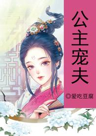 公主宠夫重生