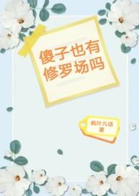 傻子都会