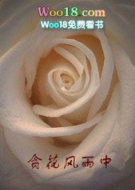 贪花风雨中65
