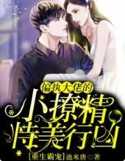 重生偏执大佬的小娇妻