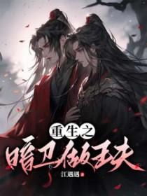 重生之暗卫做王夫TXT全本阅读