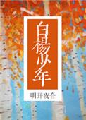 白杨少年全文阅读