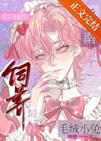 毛绒小兔简介