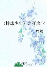 排球少年之死靡它番外篇