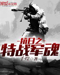 抗战之特战军魂