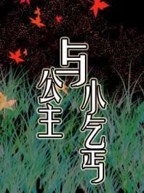 公主和乞丐的故事