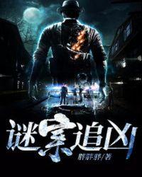 谜案追凶2