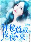 神秘总裁夜夜宠免费阅读