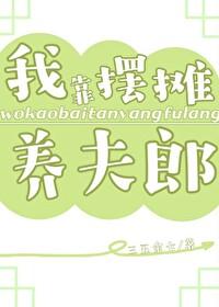 我靠摆摊养夫郎txt