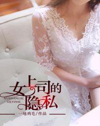 女上司的神秘u盘