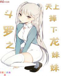 斗罗大陆之天上掉下个