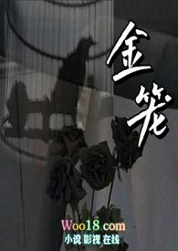 金笼叹旅者的斗篷