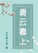 青云妻上讲的什么