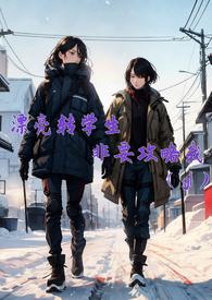 漂亮转学生非要攻略我晋江