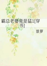 霸总的妻儿知乎