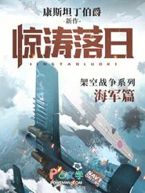 惊涛落日百度