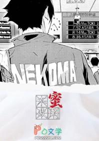 排球少年没有女主