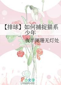 排球少年排球服