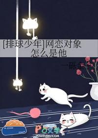 排球少年有没有感情线