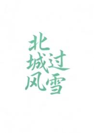 北城有雪免费阅读