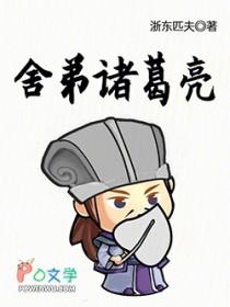 舍弟诸葛亮TXT八零