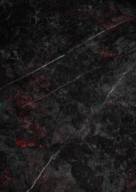 娇妻养成守则全文免费阅读井酒