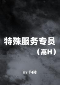 特殊服务一般有哪些内容