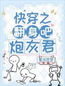 炮灰君全文阅读