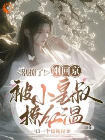 别撩了!刚回京被小皇叔撩红温by一口一个哥斯拉