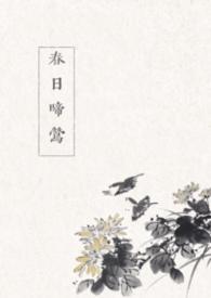 春日喜鹊 最新章节 无弹窗