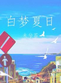 白日梦蓝乐队的夏天