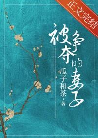 被争夺的妻子txt百度资源