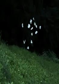 蔚然兄妹骨科文|V1