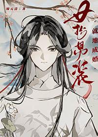 女扮男装结婚