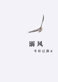 溺风无删减笔趣阁